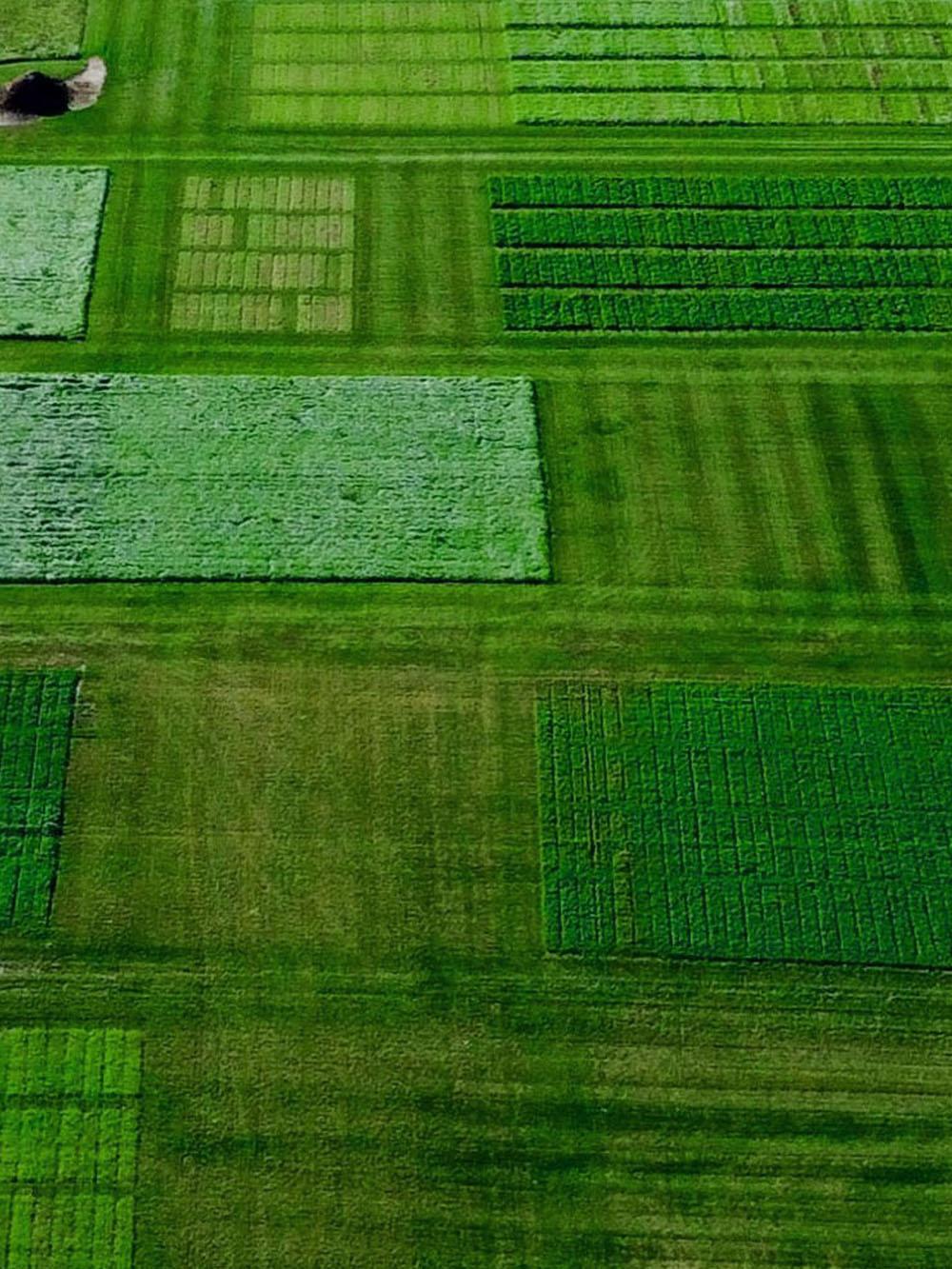 HideOut Native Screen Mix