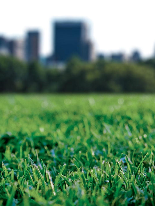 Madison Parks Premium Grass Seed
