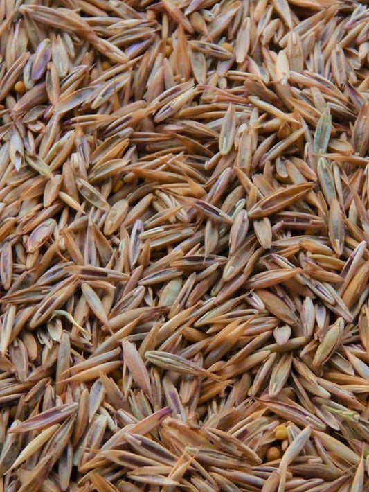 TimberEdge Trail Blend